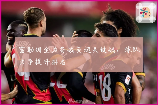 富勒姆全力备战英超关键战，球队力争提升排名